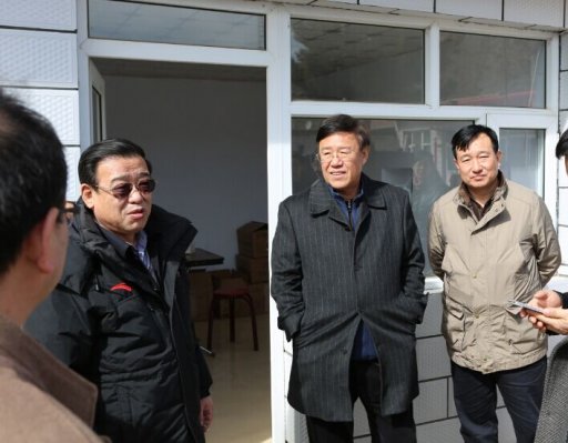�������쵼����ָ��פ��������